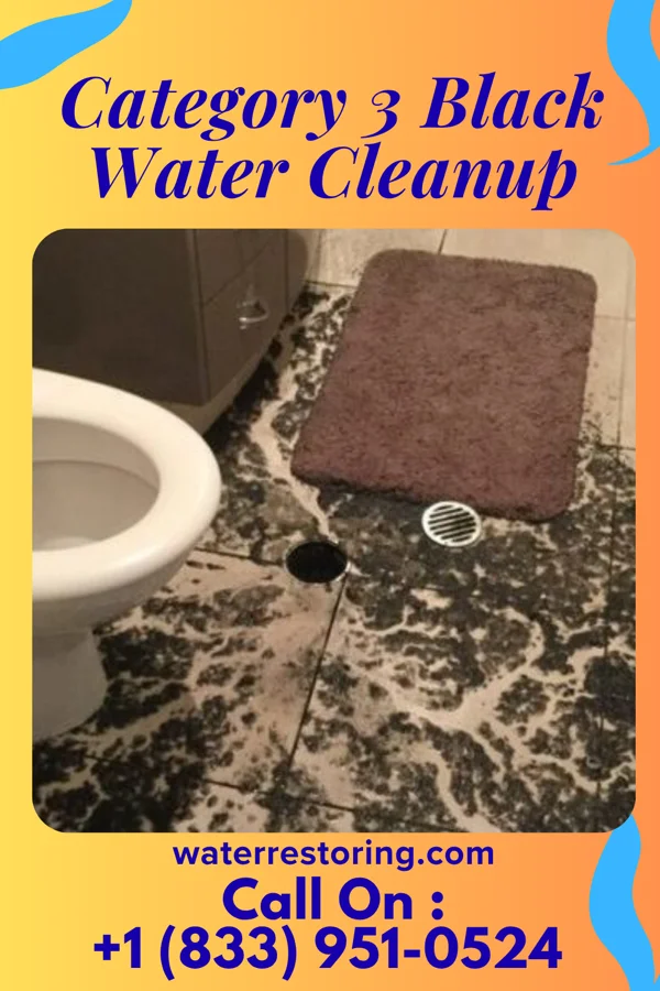 Category 3 Black Water Cleanup in Brooks Mill, PA