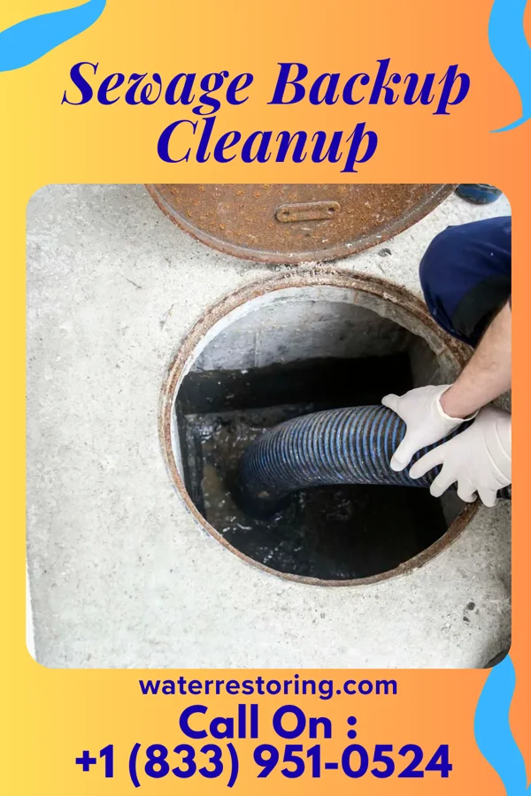 Sewage Backup Cleanup in Brooks Mill, PA