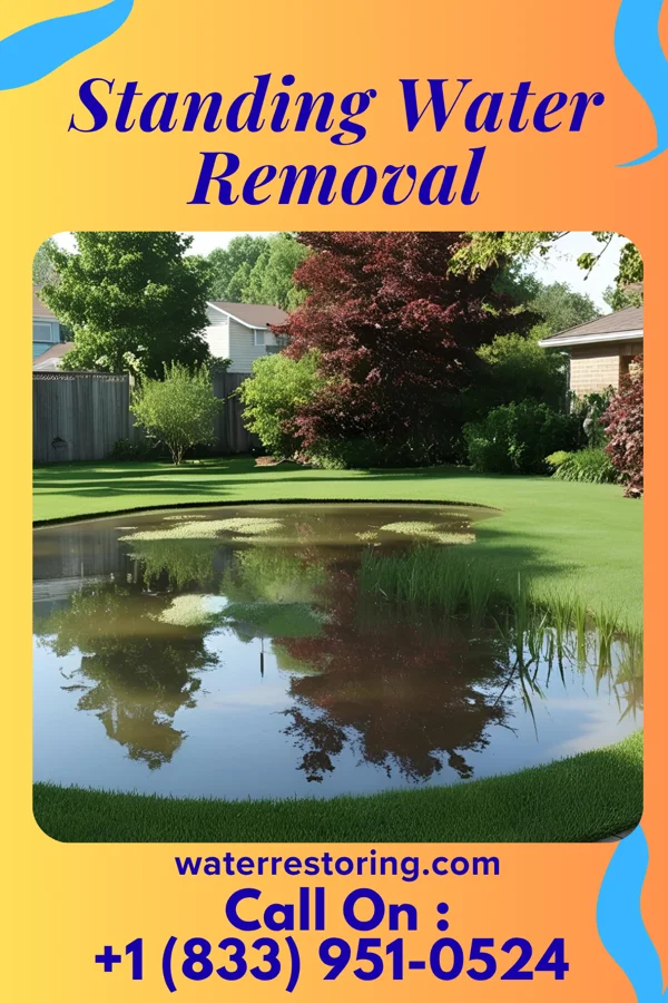 Standing Water Removal in Brooks Mill, PA
